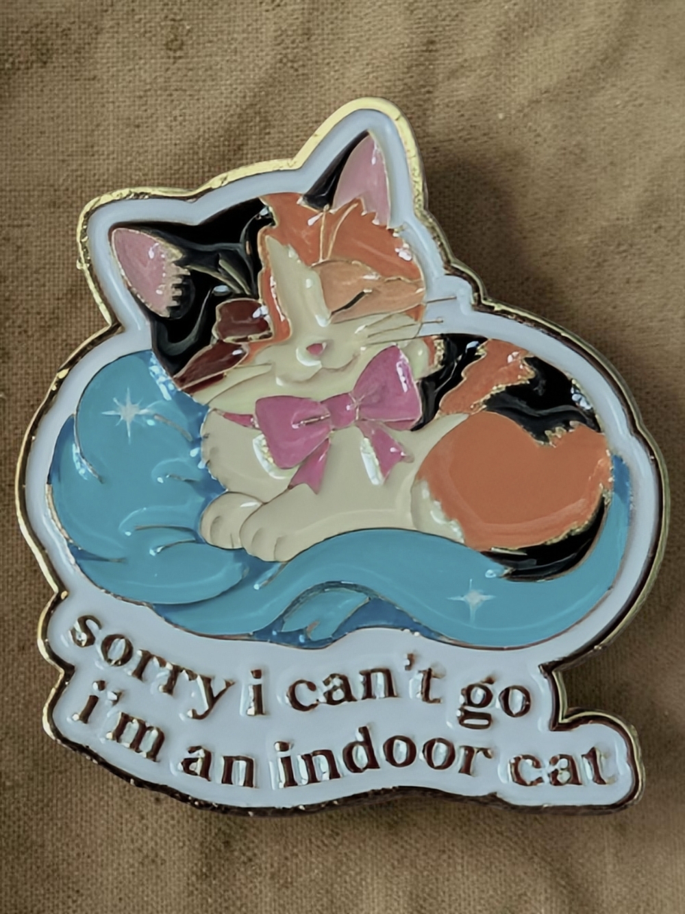 I'm An Indoor Cat - Cute Enamel Pin